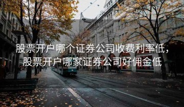 股票开户哪个证券公司收费利率低，股票开户哪家证券公司好佣金低