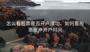 怎么看股票是否开户成功，如何看股票账户开户时间