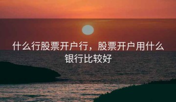 什么行股票开户行，股票开户用什么银行比较好