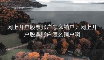 网上开户股票账户怎么销户，网上开户股票账户怎么销户啊