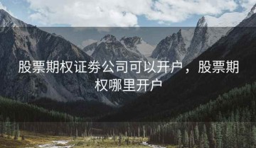 股票期权证劵公司可以开户，股票期权哪里开户