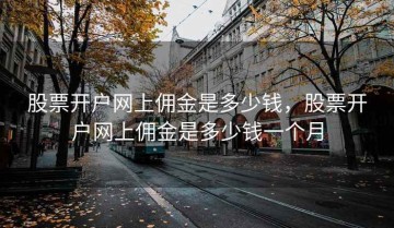 股票开户网上佣金是多少钱，股票开户网上佣金是多少钱一个月