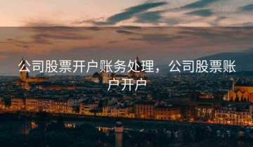 公司股票开户账务处理，公司股票账户开户