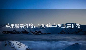 苹果股票价格，2004年苹果股票价格