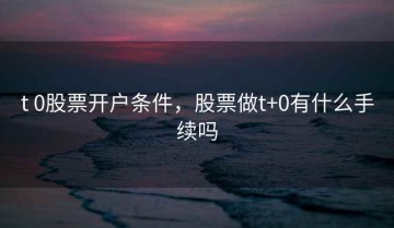 t 0股票开户条件，股票做t+0有什么手续吗
