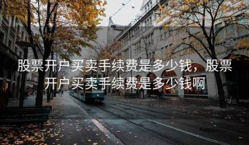 股票开户买卖手续费是多少钱，股票开户买卖手续费是多少钱啊