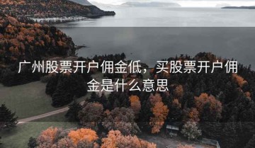 广州股票开户佣金低，买股票开户佣金是什么意思