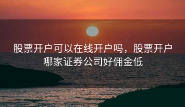 股票开户可以在线开户吗，股票开户哪家证券公司好佣金低