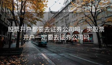 股票开户都要去证券公司吗，买股票开户一定要去证券公司吗