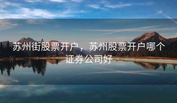 苏州街股票开户，苏州股票开户哪个证券公司好