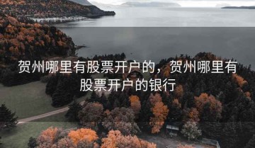 贺州哪里有股票开户的，贺州哪里有股票开户的银行