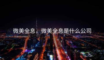 微美全息，微美全息是什么公司