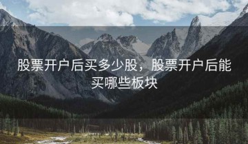 股票开户后买多少股，股票开户后能买哪些板块
