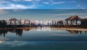 京东股票开户哪个证券好，京东证券正规吗
