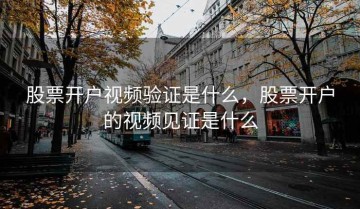 股票开户视频验证是什么，股票开户的视频见证是什么