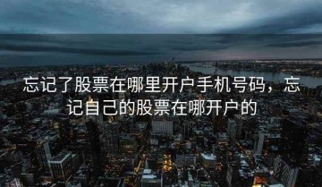 忘记了股票在哪里开户手机号码，忘记自己的股票在哪开户的