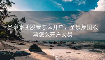 圣泉集团股票怎么开户，圣泉集团股票怎么开户交易