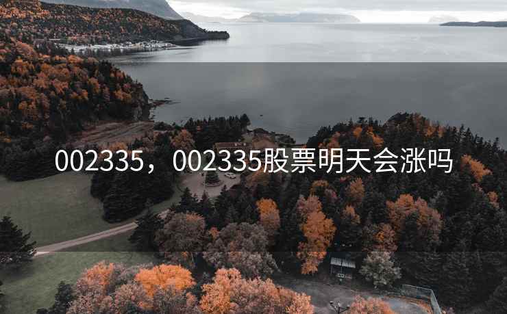 002335，002335股票明天会涨吗