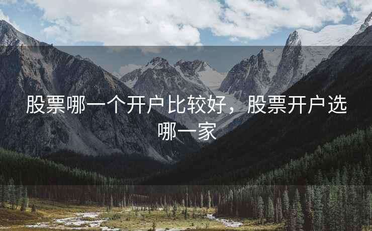 股票哪一个开户比较好，股票开户选哪一家