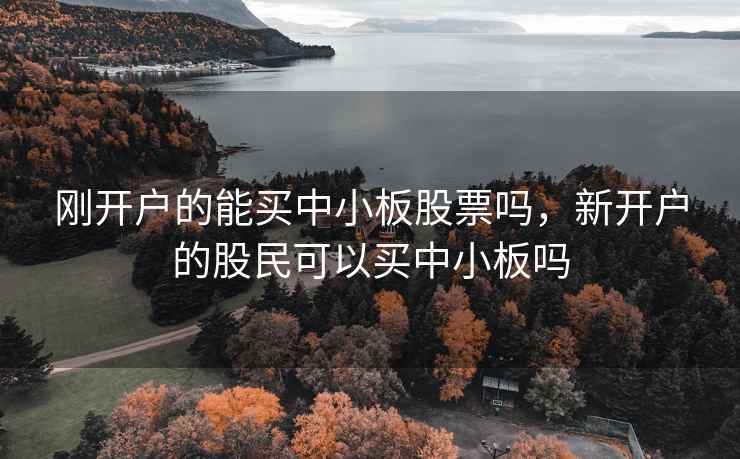 刚开户的能买中小板股票吗，新开户的股民可以买中小板吗
