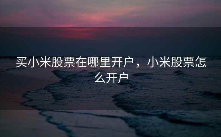 买小米股票在哪里开户,小米股票怎么开户 买小米股票在哪里开户,小米股票怎么开户