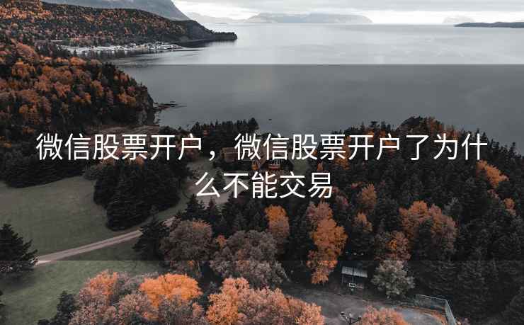 微信股票开户,微信股票开户了为什么不能交易 微信股票开户,微信股票开户了为什么不能交易