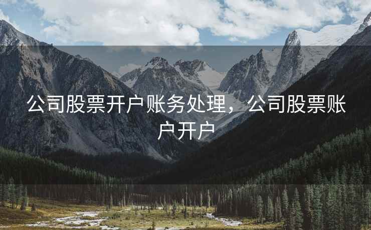 公司股票开户账务处理,公司股票账户开户 公司股票开户账务处理,公司股票账户开户