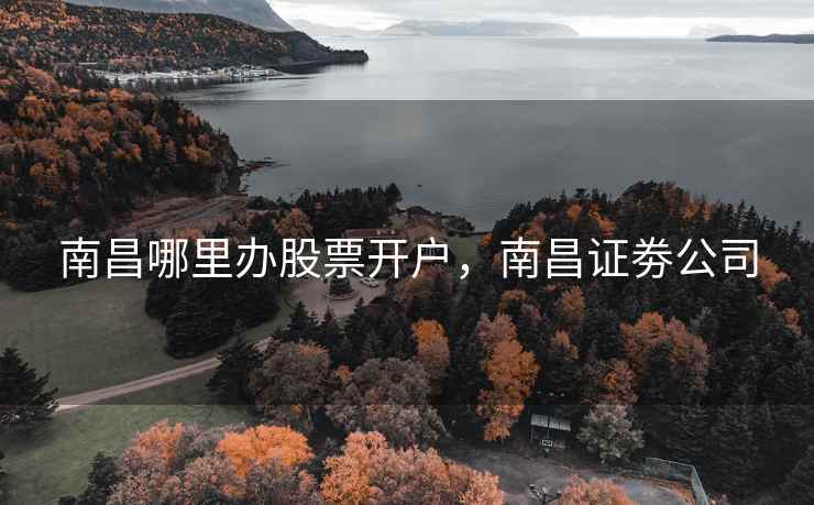 南昌哪里办股票开户，南昌证劵公司
