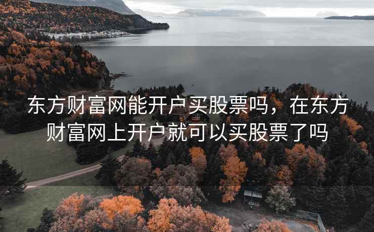 东方财富网能开户买股票吗，在东方财富网上开户就可以买股票了吗