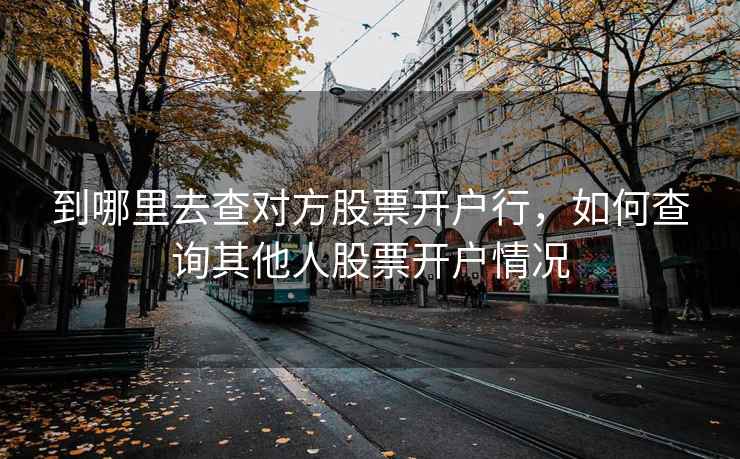 到哪里去查对方股票开户行,如何查询其他人股票开户情况 到哪里去查对方股票开户行,如何查询其他人股票开户情况
