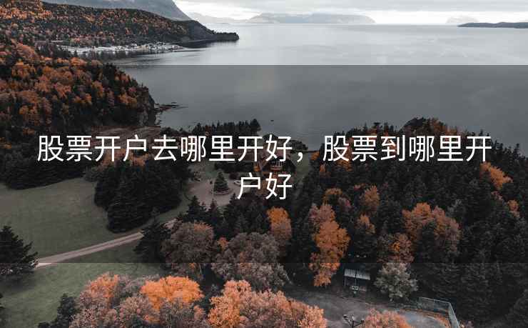 股票开户去哪里开好,股票到哪里开户好 股票开户去哪里开好,股票到哪里开户好