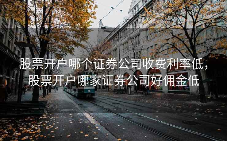 股票开户哪个证券公司收费利率低,股票开户哪家证券公司好佣金低 股票开户哪个证券公司收费利率低,股票开户哪家证券公司好佣金低