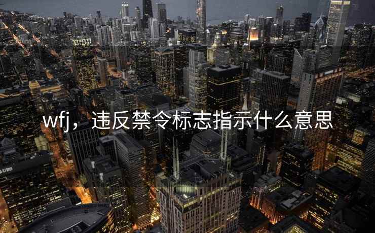 wfj，违反禁令标志指示什么意思