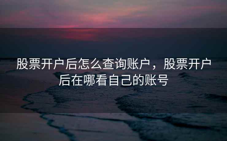 股票开户后怎么查询账户,股票开户后在哪看自己的账号 股票开户后怎么查询账户,股票开户后在哪看自己的账号