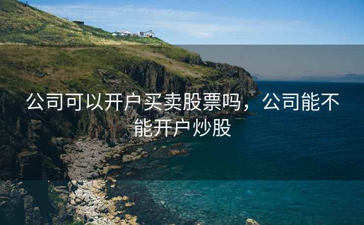公司可以开户买卖股票吗，公司能不能开户炒股