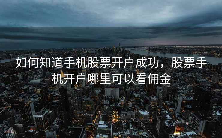 如何知道手机股票开户成功，股票手机开户哪里可以看佣金