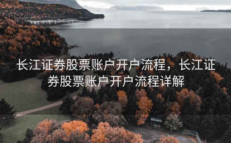 长江证券股票账户开户流程，长江证券股票账户开户流程详解