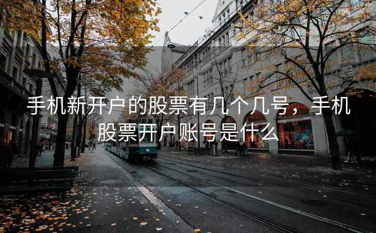手机新开户的股票有几个几号，手机股票开户账号是什么