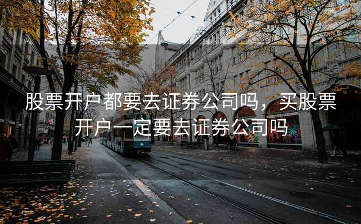 股票开户都要去证券公司吗，买股票开户一定要去证券公司吗