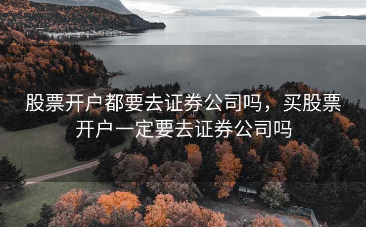 股票开户都要去证券公司吗，买股票开户一定要去证券公司吗